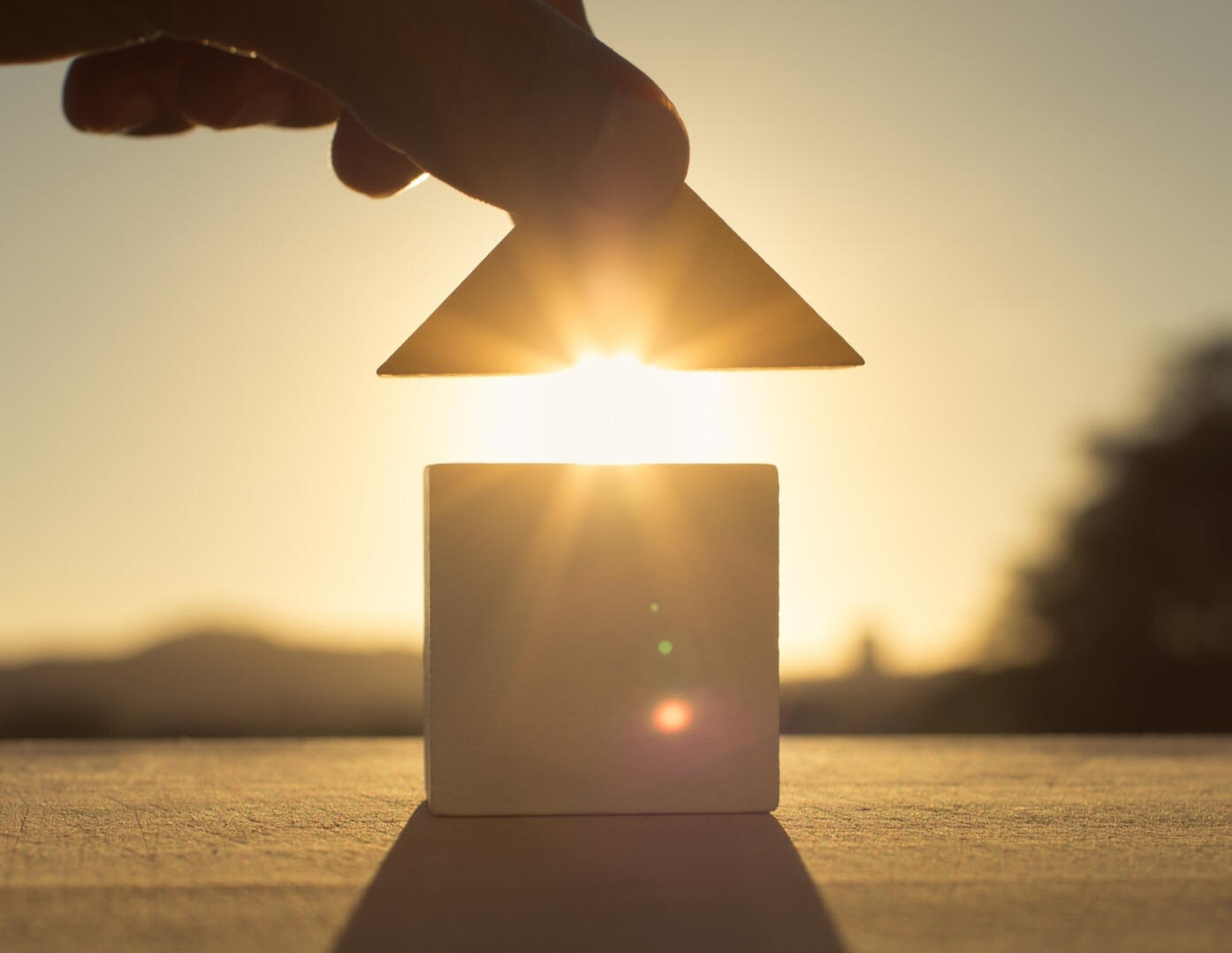 Life Estate Buyers website